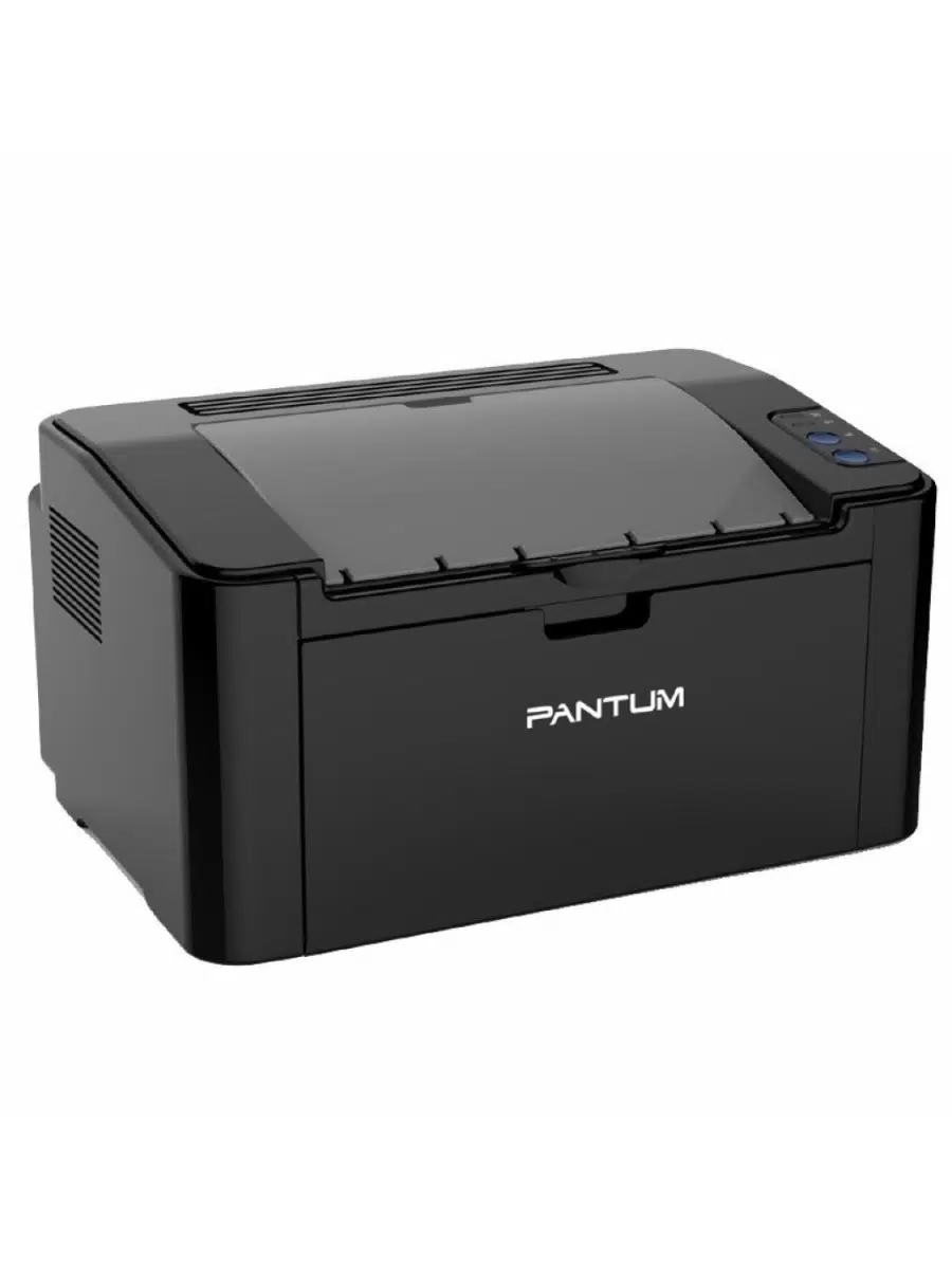 Лазерный принтер Pantum P2507 (P2507) 
